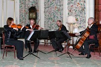 Oberon String Quartet 1072323 Image 0